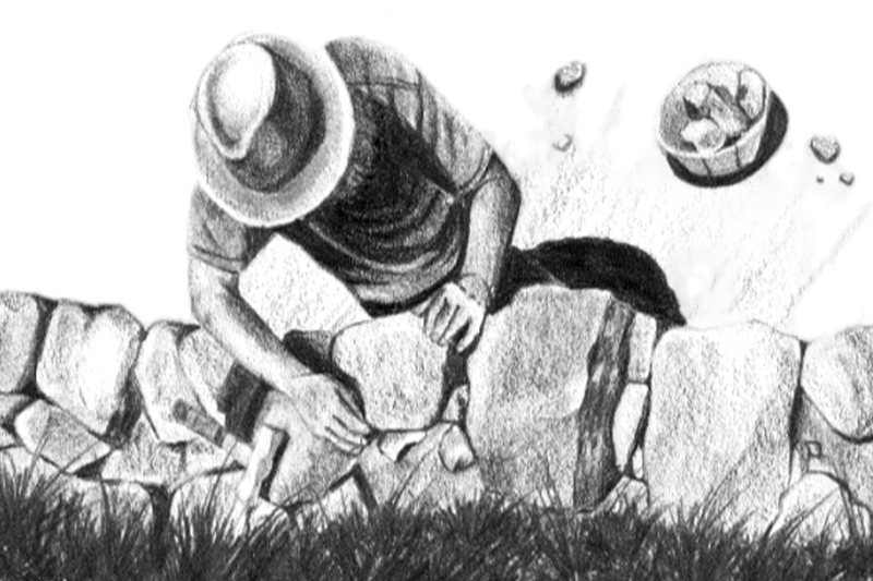 Taller de dibujo del paisaje